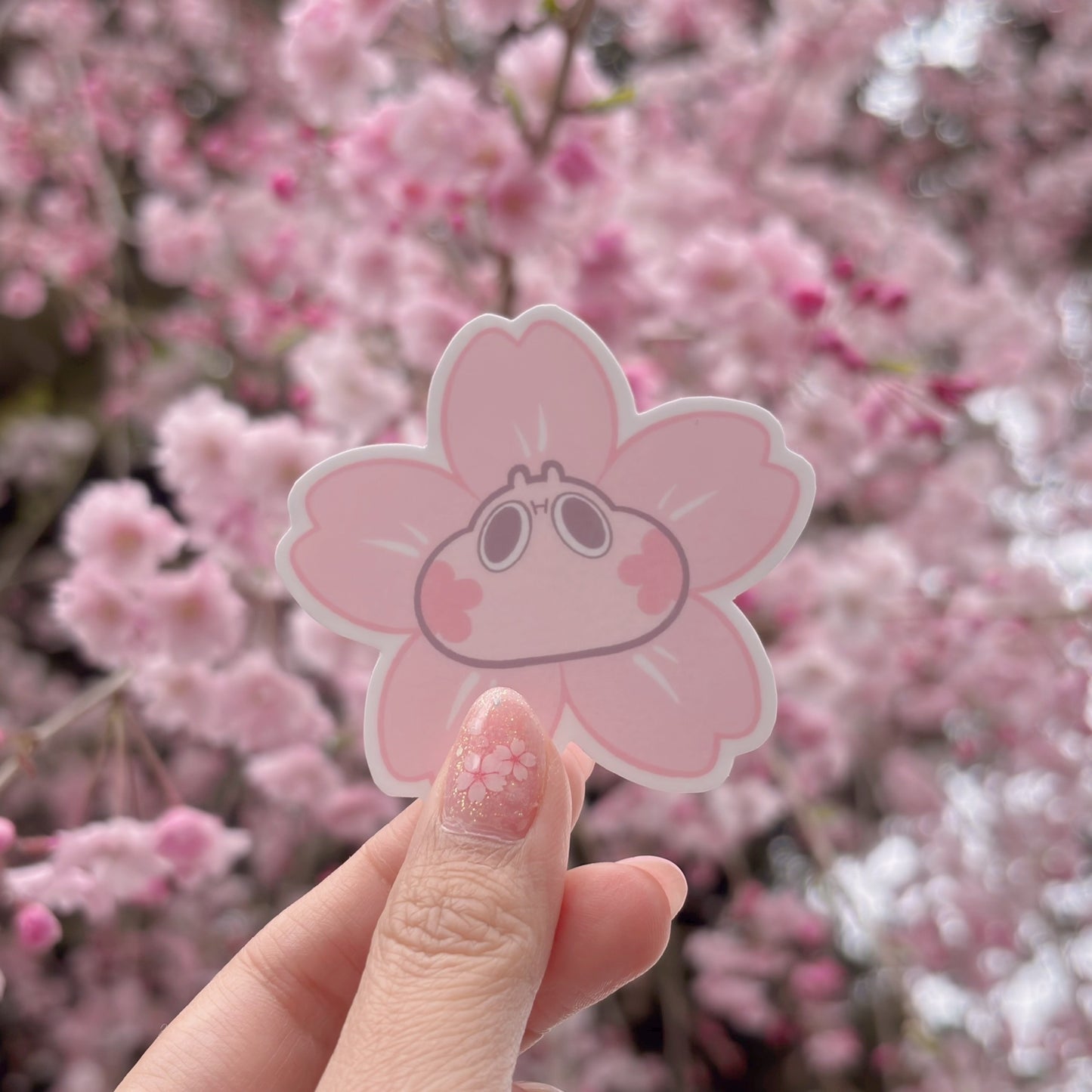 Sakura Himboo Phone sticker